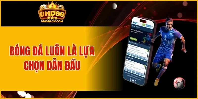 Bóng đá luôn là lựa chọn dẫn đầu