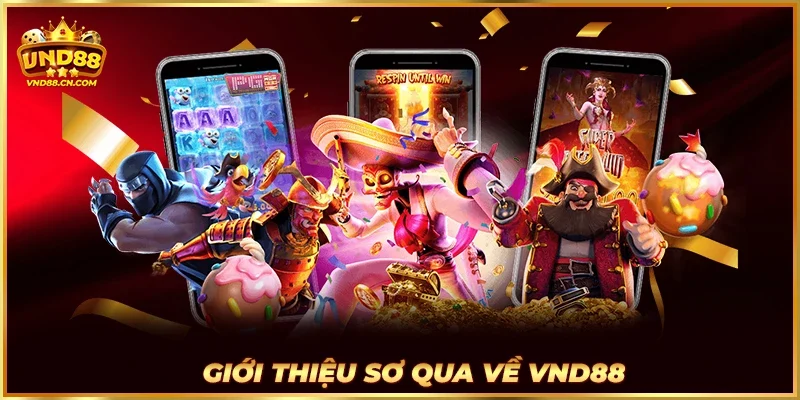 Giới thiệu sơ qua về VND88