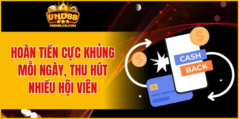Hoàn tiền cực khủng mỗi ngày, thu hút nhiều hội viên